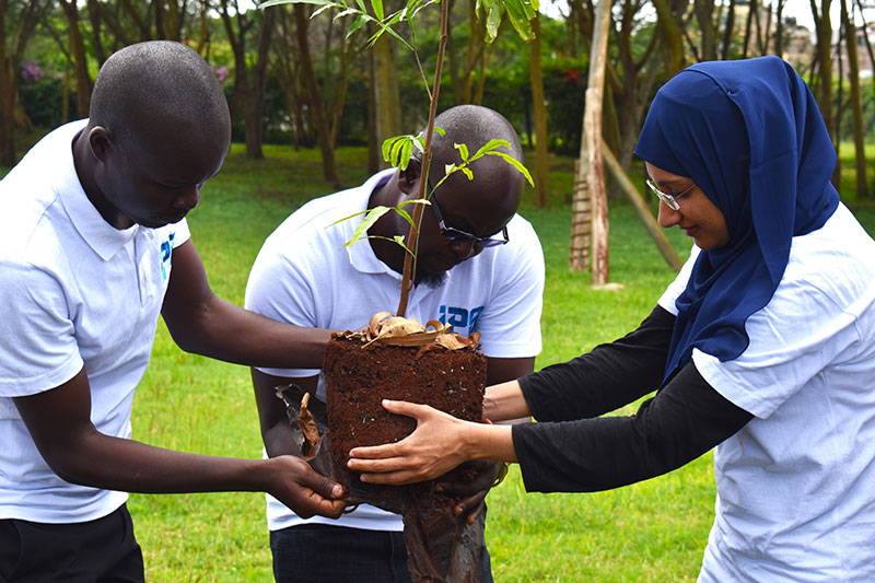 Growing a Greener Future: Donating Tree Seedlings to Staff at Work